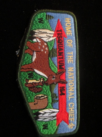 Home Of The National Chief Tisquantum 164 Boyscout Patch