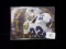 Emmitt Smith Dallas Cowboys 1994 Action Packed Prototype Card