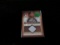 Mike Piazza Jersey Card