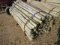 Bundle of Treated Fence Posts