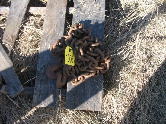 16' Chain