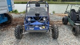 TNS-UV250 2 SEATER DUNE BUGGY