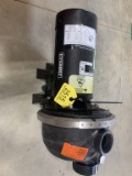 Everbilt 2 hp Electric Water Pump