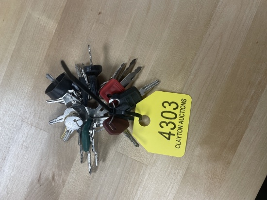 Set of 24 Heavy Equipment Keys