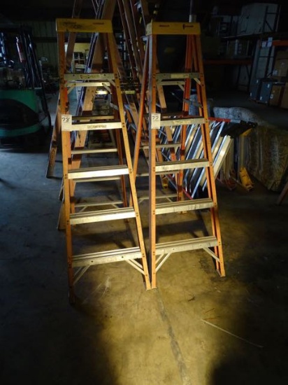 WERNER 6’ STEP LADDER