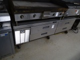 DELFIELD REFRIGERATED EQUIPMENT STAND