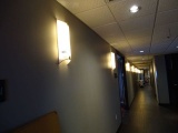 WALL SCONCE LIGHTS (15X)