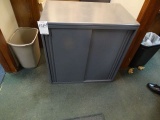 2 DOOR CABINET