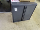 2 DOOR CABINET