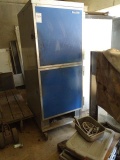 2 DOOR CABINET CASTERED