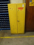 FIRE RESISTANT CABINET W/PAINT REMOVER, ACID, KILTS & CHEMICALS