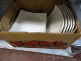 PLATES X1 CASE