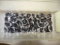 CRYSTAL PENDALOGUE X1
