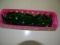 CRYSTAL PENDALOGUE X1