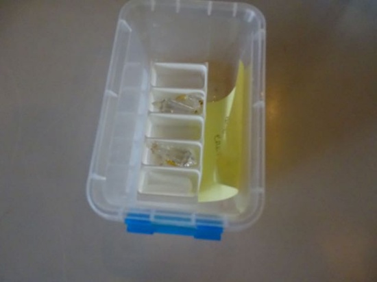 CRYSTAL PENDALOGUE X1