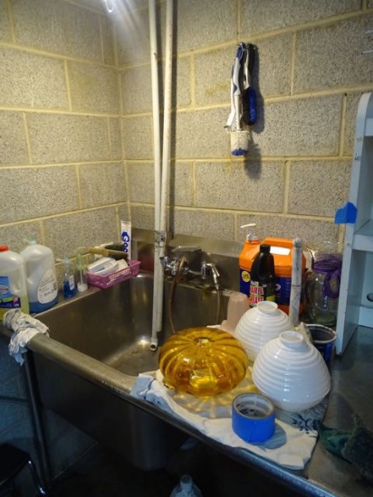 GLOBES, CLEANERS & AIR FRESHENER X1
