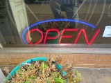 OPEN NEON SIGN