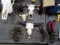 STEER SKULL WALL DÉCOR (X3)