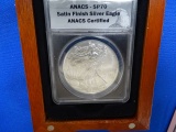 IN CASE SILVER EAGLE 7- 2016 W ANACS SP70, 1- 2017 ICG MS70, 1- 2002 W ANACS-PR70 DCAM (X9)