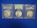 MORGAN 1881S MS-64 (X3)
