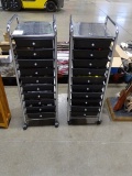 10 DRAWER ROLLING ORGANIZER (X2)