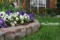 Lawn Care Applications Program 7 Step