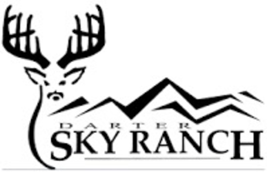 Guided Blackbuck Antelope Hunt at Darter Sky Ranch