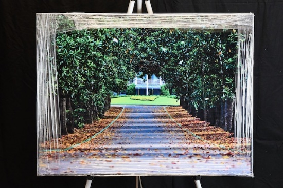 Magnolia Way at Augusta National
