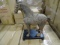 NEW ROYOLA PACIFIC CAST IRON TANG HORSE (X10)