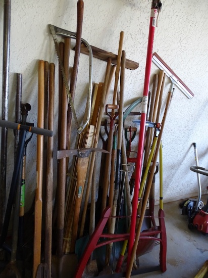 YARD TOOLS X1 LARGE LOT