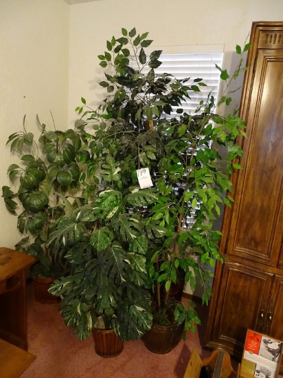 SILK TREES X1