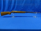 REMINGTON SPORTMASTER MODEL:512 .22LR OR SL BOLT ACTION