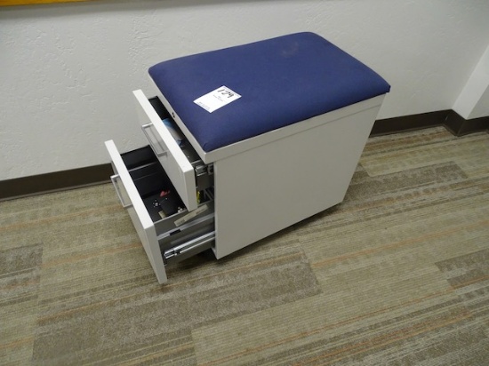 2 DOOR FILE W/OFFICE MISC