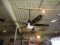 52” BLACK FAN & LIGHT HANGING