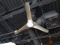 60” LUXURY CEILING FAN