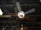 60” LACLEDE ECO CEILING FAN