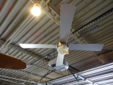 48” CHROME FAN HANGING