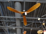 60” MAVERICK CEILING FAN