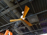 52” IRENE 3 CEILING FAN