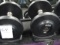 20LB DUMBBELLS (X2)