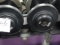 30LB DUMBBELLS (X2)