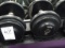 35LB DUMBBELLS (X2)