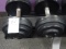 55LB  DUMBBELLS (X2)