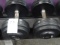 60LB DUMBBELLS (X2)