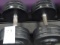 65LB DUMBBELLS (X2)