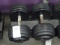 80LB DUMBBELLS (X2)