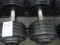 90LB DUMBBELLS (X2)