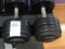 100LB DUMBBELLS (X2)