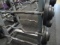 50LB CURL BAR