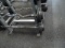 60LB CURL BAR